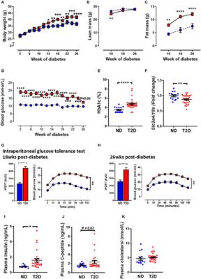 Corrigendum: Characterising an Alternative Murine Model of Diabetic Cardiomyopathy